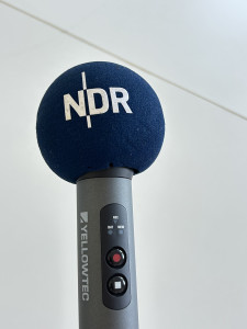 NDR1