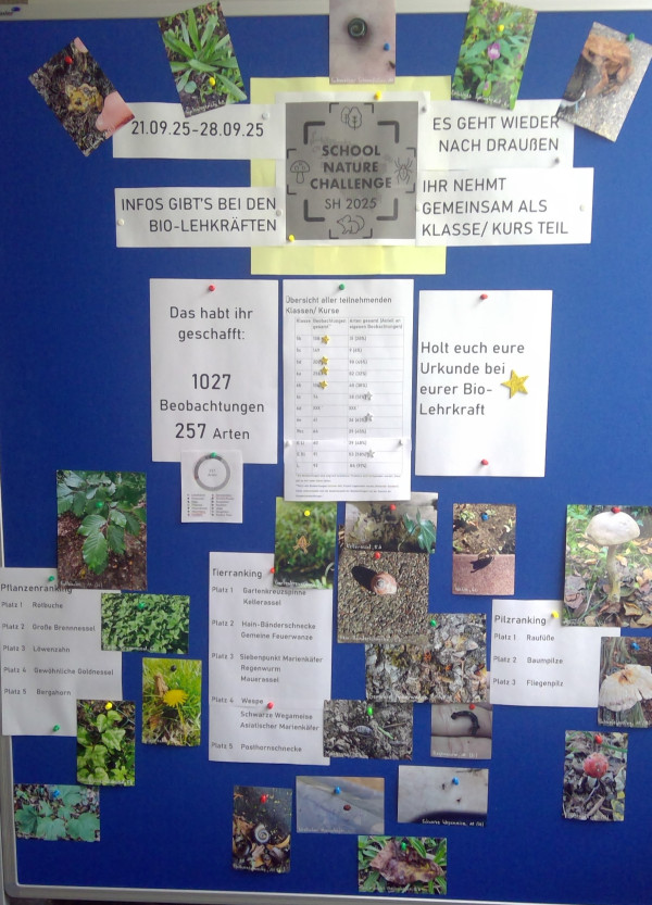 SchoolNatureChallenge2025