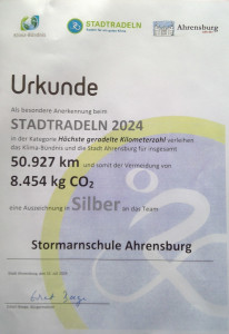 Stadtradeln silber