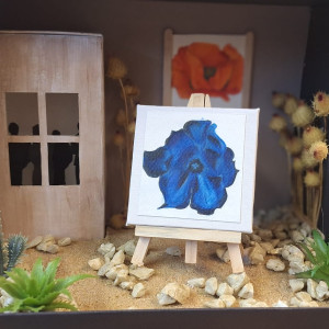 WhatsApp Image 2025 12 12 at 13.51.37